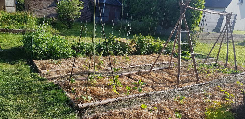 Les gestes a adopter pour démarrer un potager en permaculture